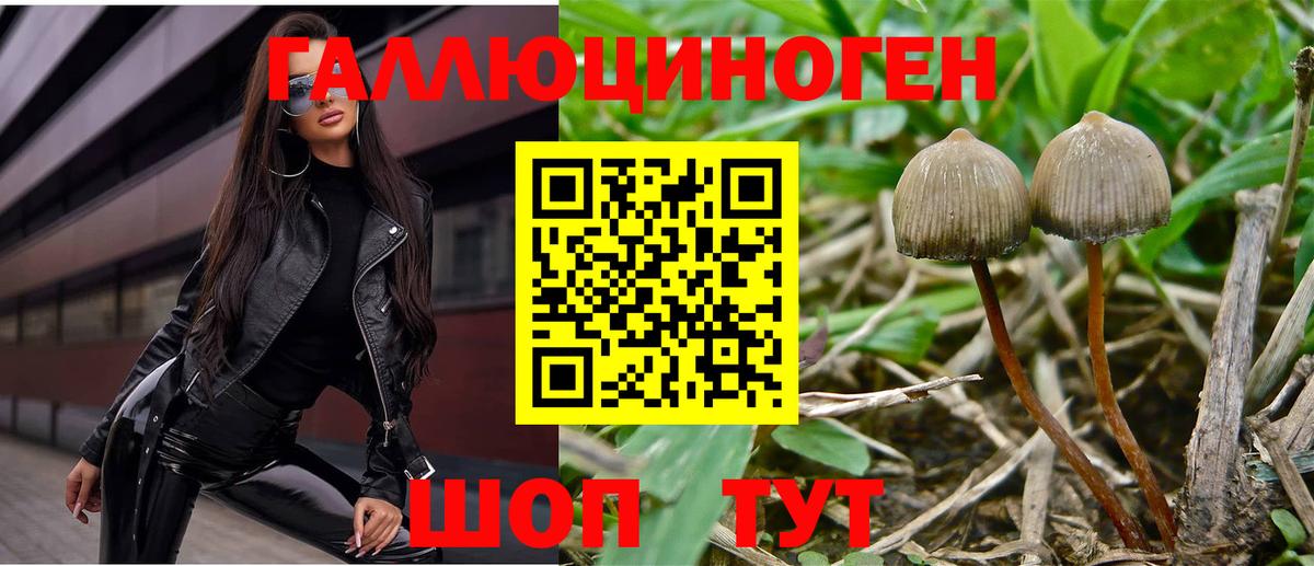 Галлюциногенные грибы Magic Shrooms  Псилоцибиновые грибы мухоморы  Вход с VPN  Аргун 